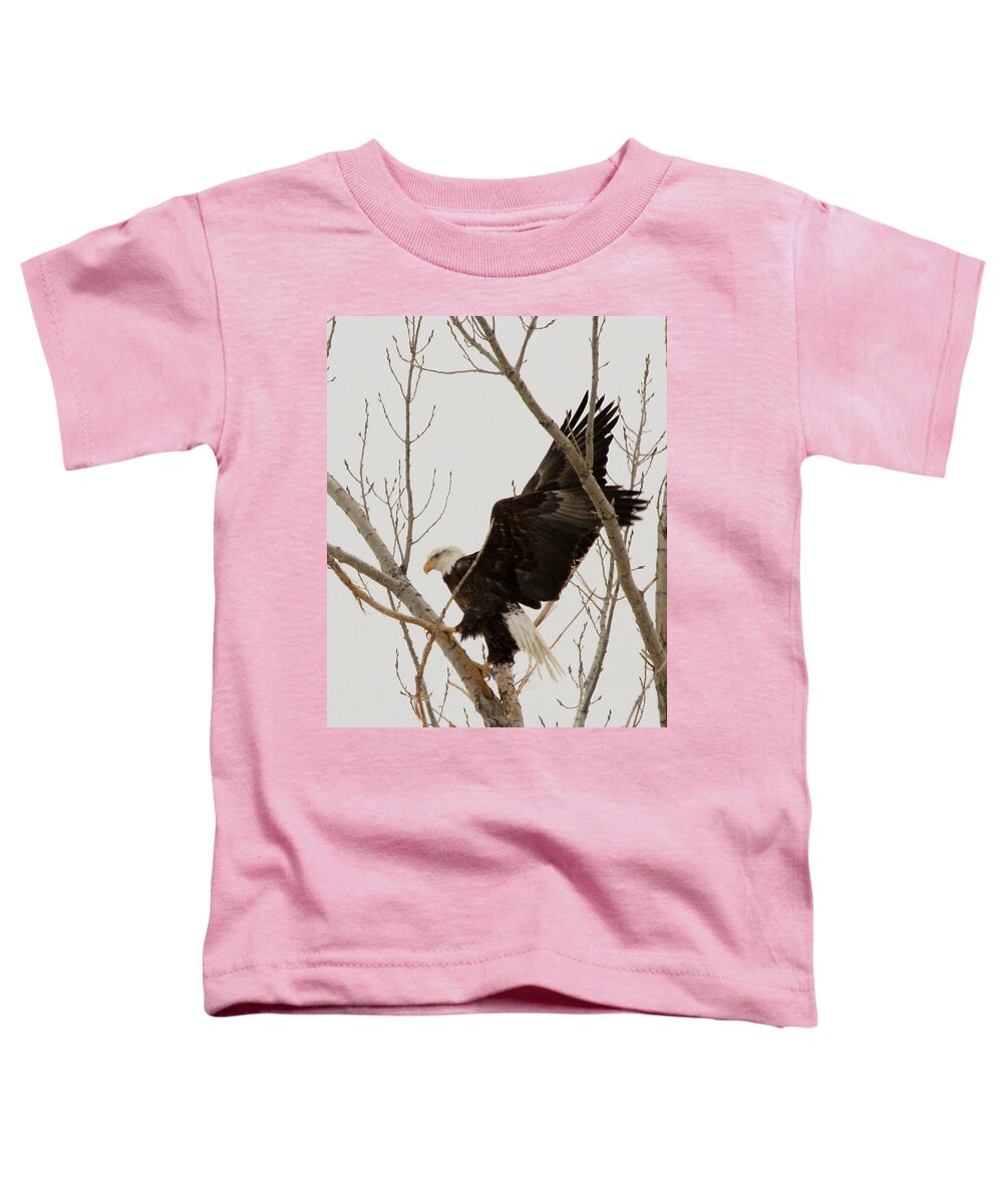 Bald Eagle Toddler T-Shirt featuring the photograph The Climb #2 by Shane Bechler