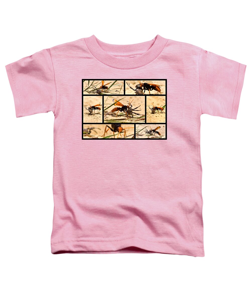 Wasp Toddler T-Shirt featuring the photograph Wasp and his kill by Miroslava Jurcik