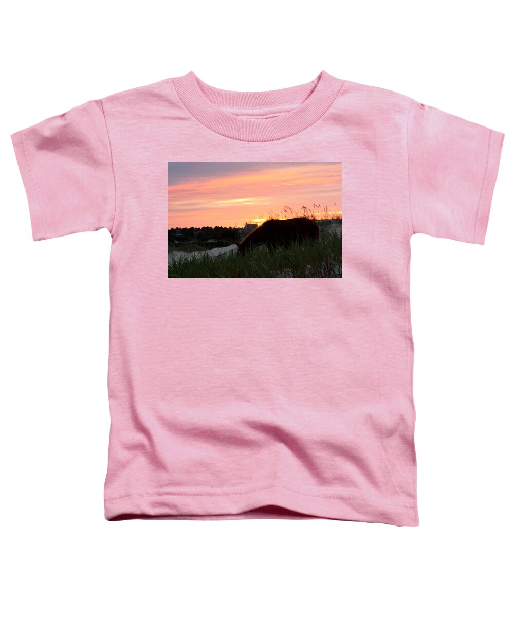 Wild Spanish Mustang Toddler T-Shirt featuring the photograph Wild Silhouette at Sunset by Kim Galluzzo