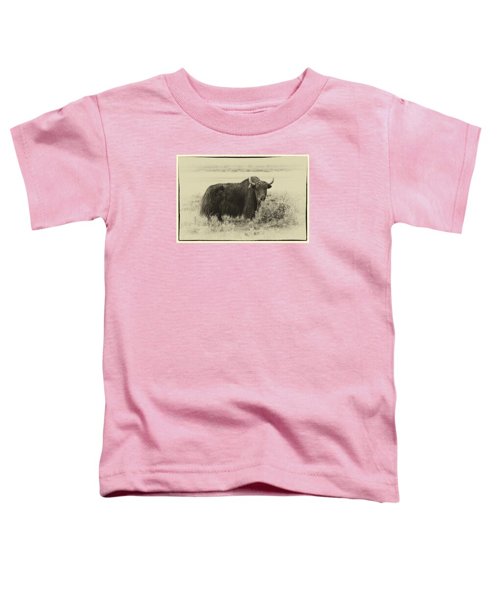 Tibet Toddler T-Shirt featuring the photograph Yaks...The official animal of Tibet by Alan Toepfer