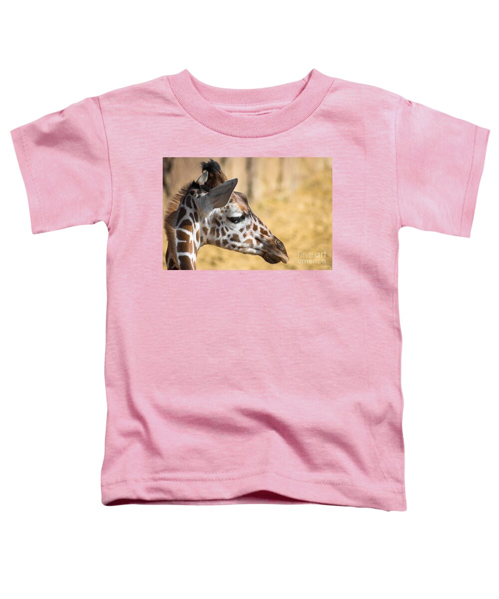Young Giraffe Toddler T-Shirt featuring the photograph Young Giraffe by Imagery by Charly