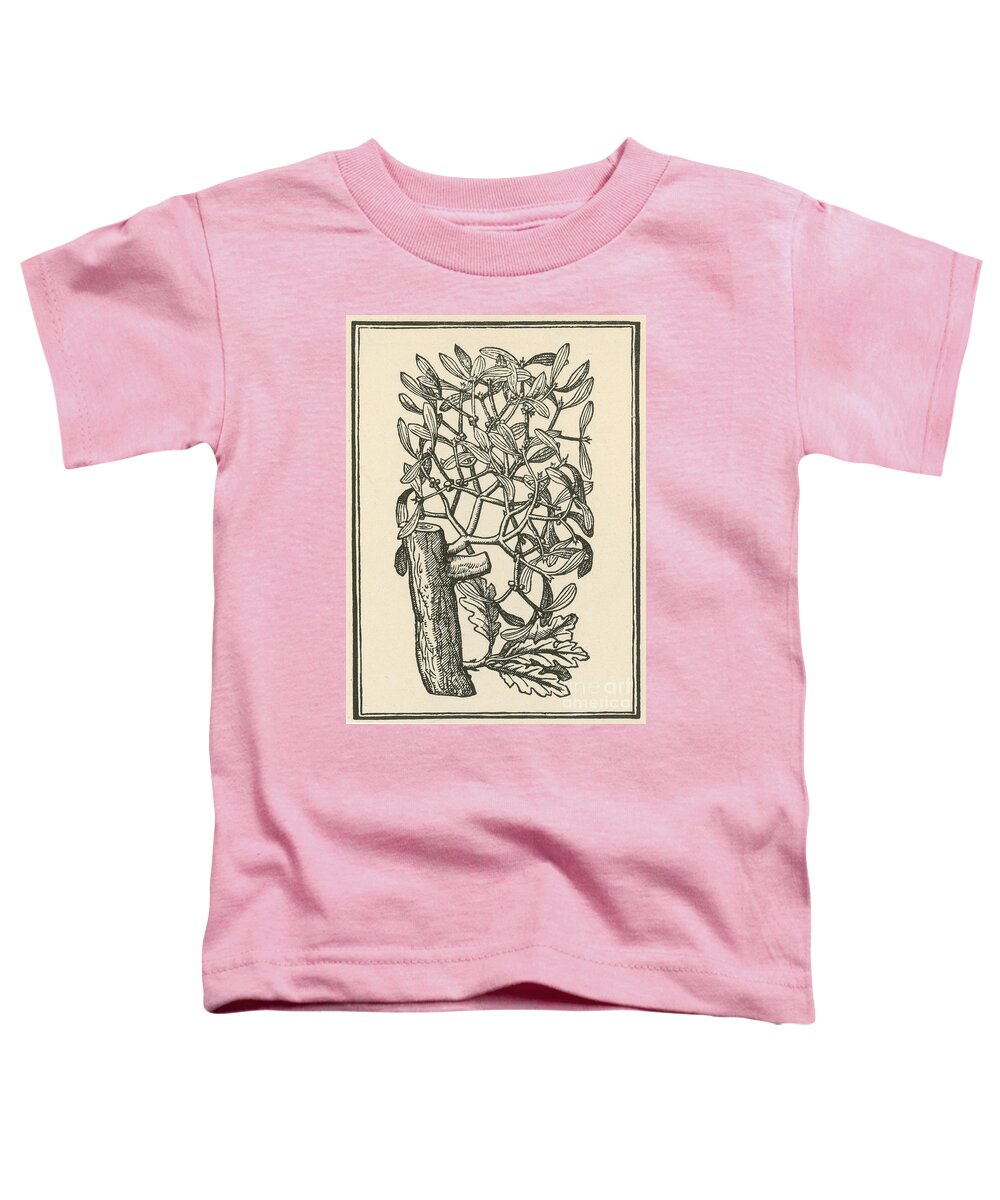 Plant Toddler T-Shirt featuring the photograph Mistletoe-Alchemy Plant #4 by Science Source