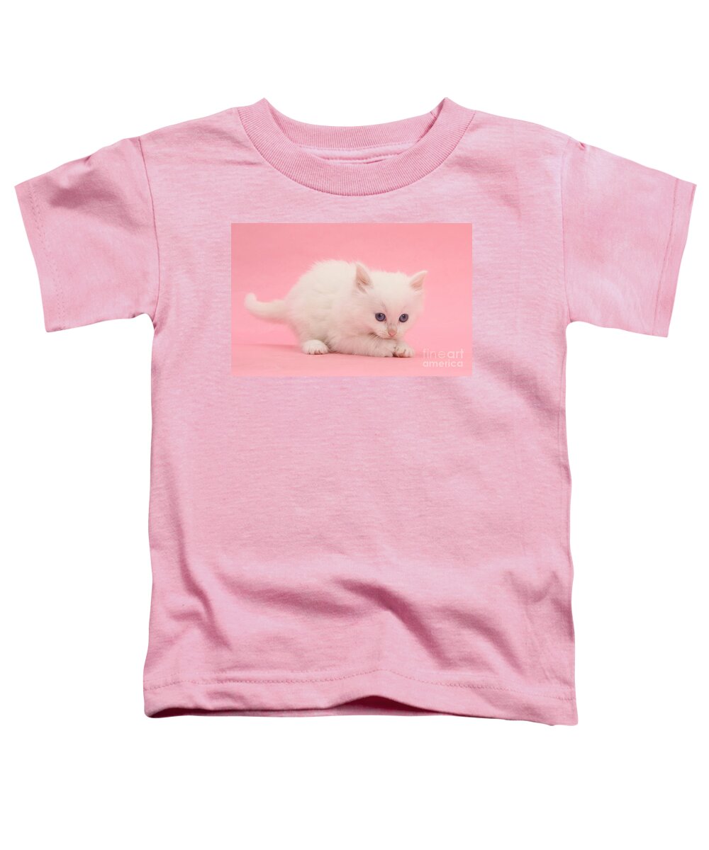 Animal Toddler T-Shirt featuring the photograph White Kitten #1 by Mark Taylor