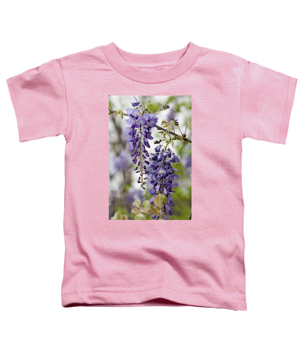 Hygrophila Difformis Toddler T-Shirt featuring the photograph Draping Lavender Purple Wisteria Vines by Kathy Clark