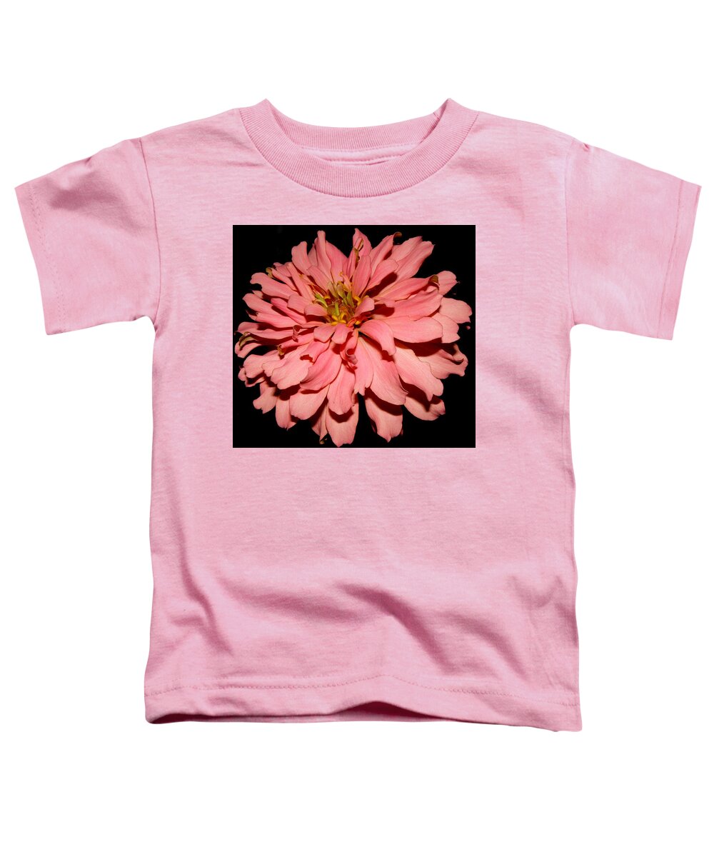Zinnia Toddler T-Shirt featuring the photograph Even At Night She Shows Beauty by Kim Galluzzo