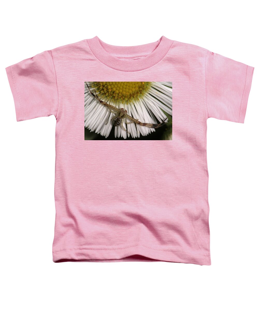 Nature Toddler T-Shirt featuring the photograph Flower Spider On Fleabane by Daniel Reed