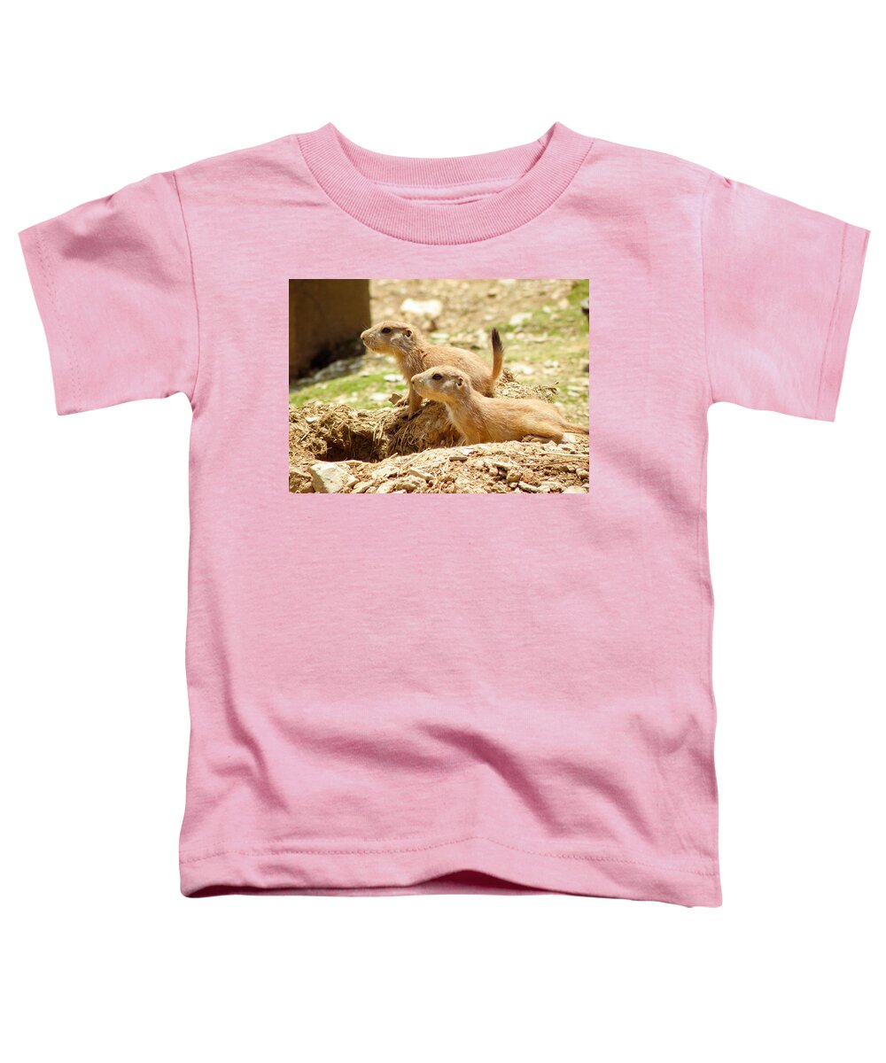 Prairie Dog Toddler T-Shirt featuring the photograph Go West Young Man by Trish Tritz