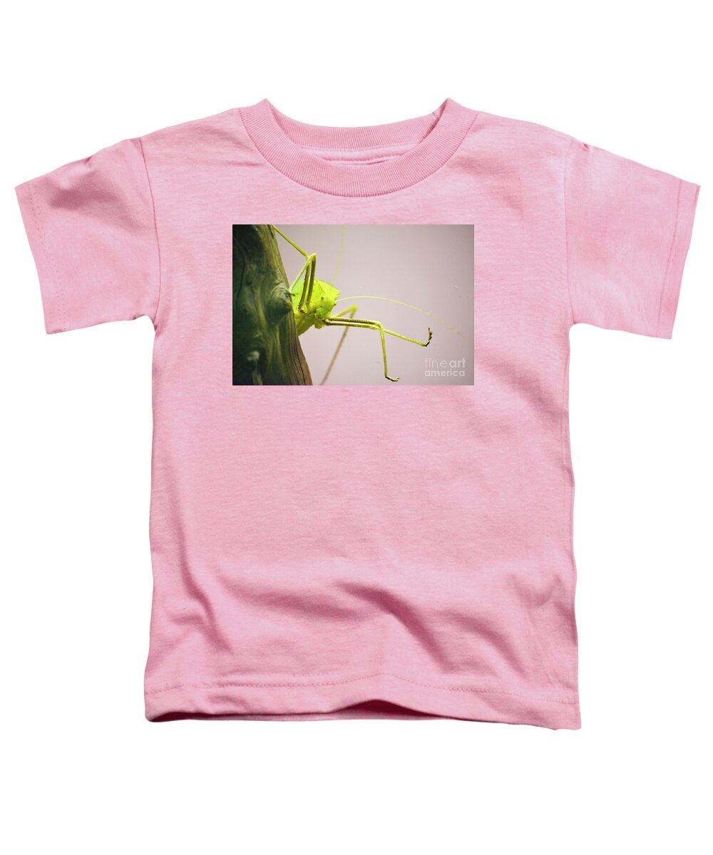 Bug Zoo Toddler T-Shirt featuring the photograph Handsome Boy by Traci Cottingham