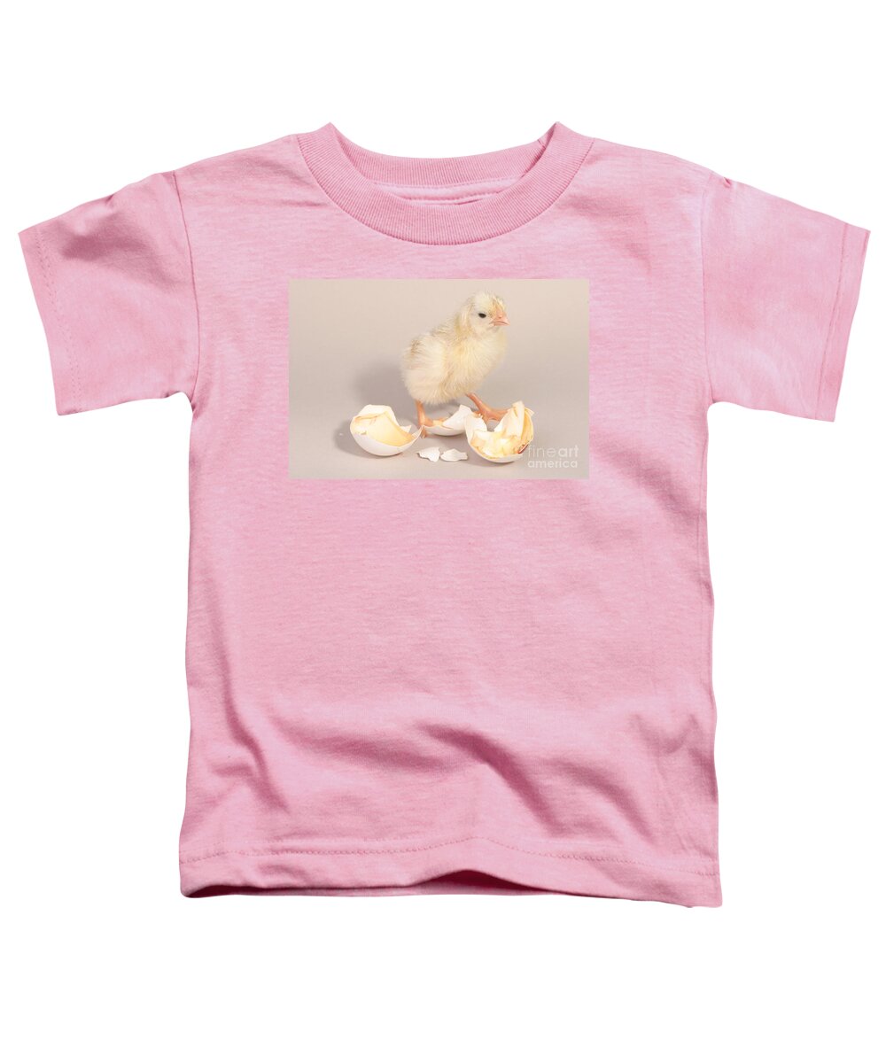 Egg Toddler T-Shirt featuring the photograph Hatching Chicken 20 Of 22 by Ted Kinsman