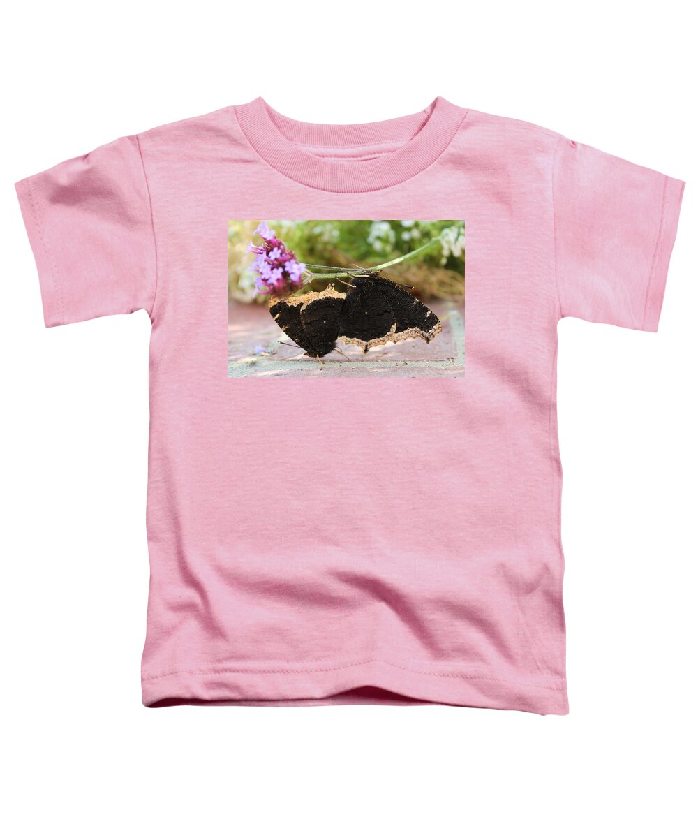 Mourning Cloak Toddler T-Shirt featuring the photograph Mourning Cloak Butterfly Lovin' by Heidi Smith