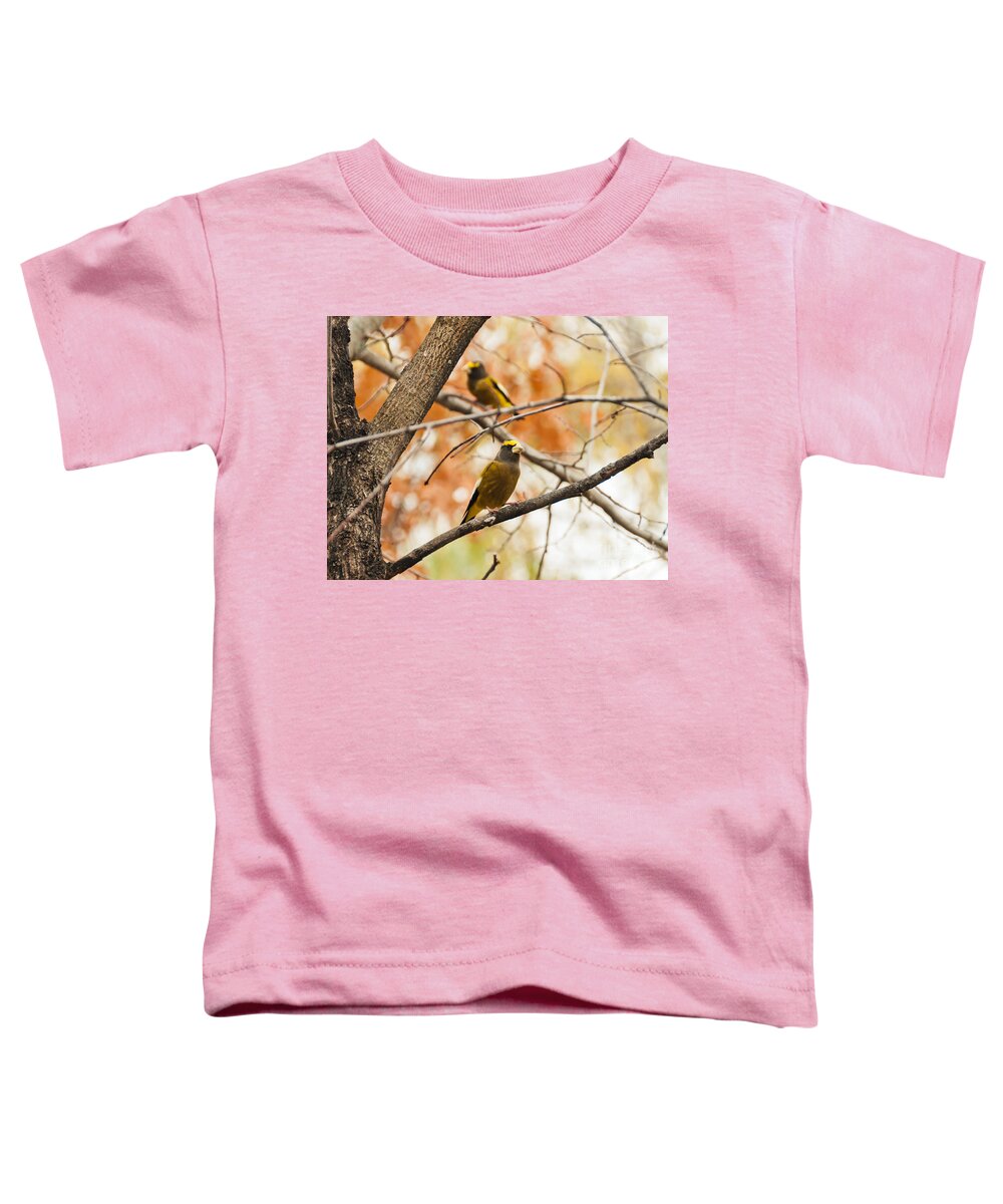 Evening Grosbeak Toddler T-Shirt featuring the photograph Perched Pretty by Cheryl Baxter