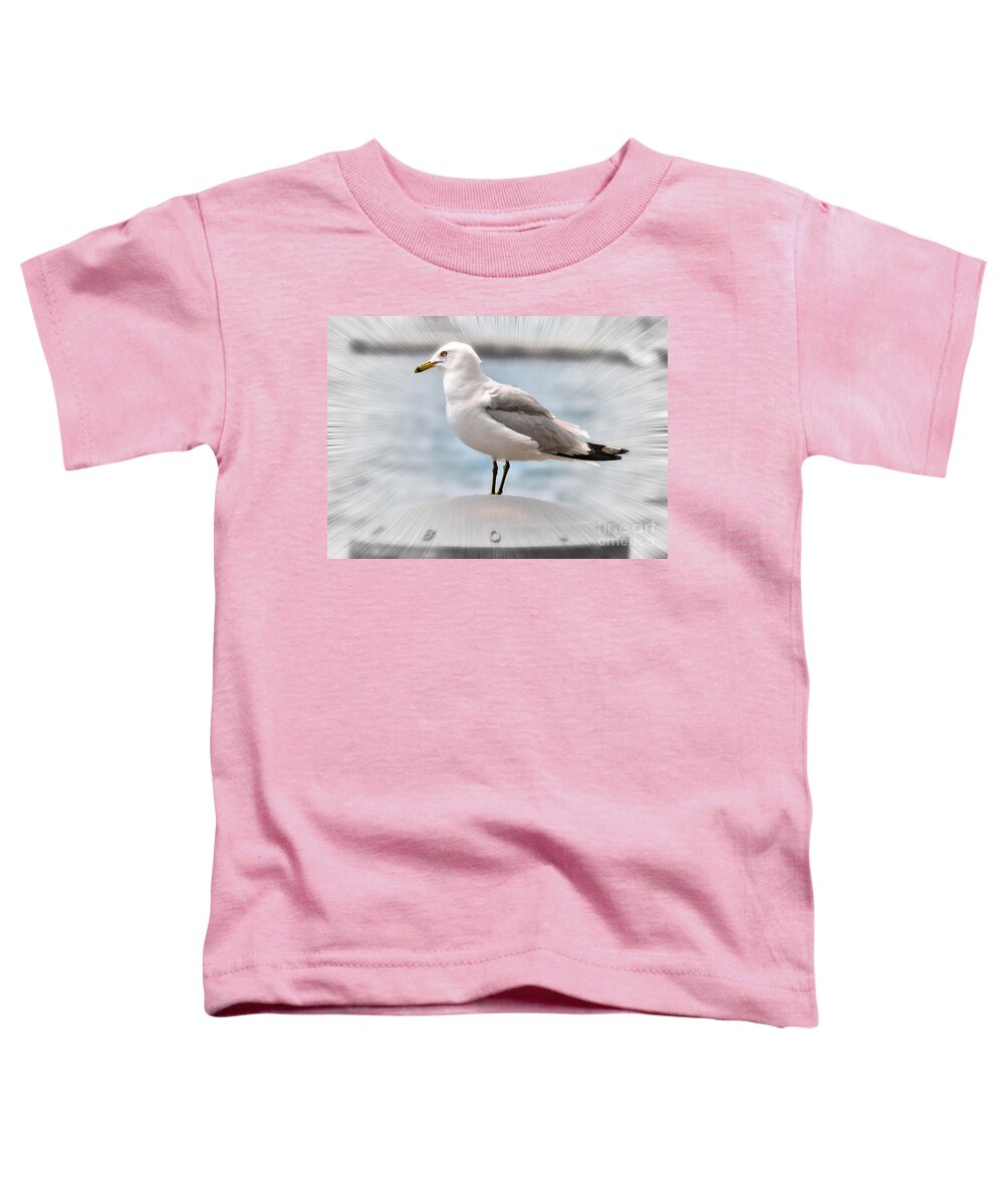 Bird Toddler T-Shirt featuring the photograph Ring Billed Gull by Elaine Manley