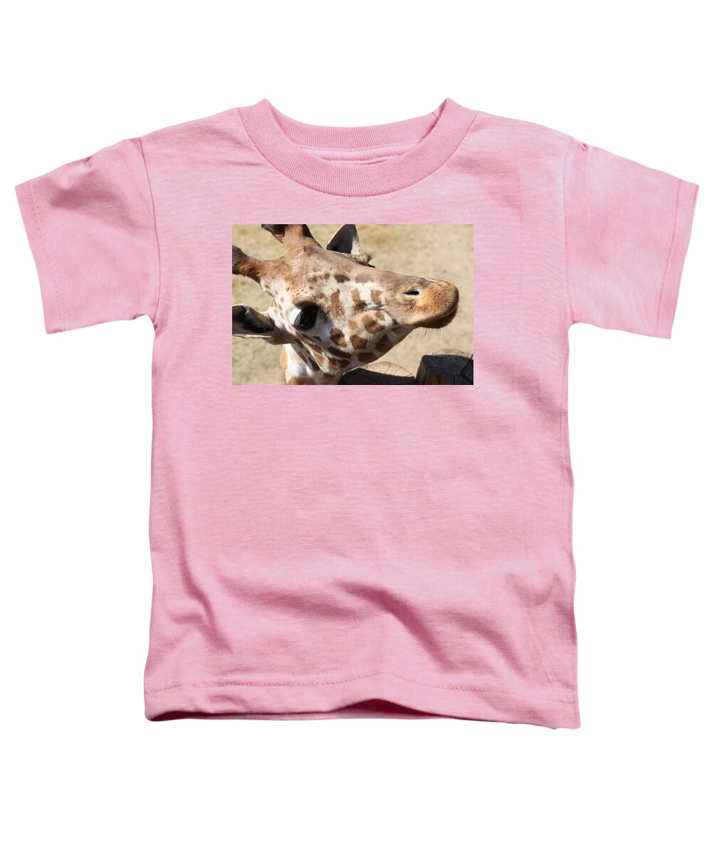 Giraffe Toddler T-Shirt featuring the photograph So Cute by Kim Galluzzo