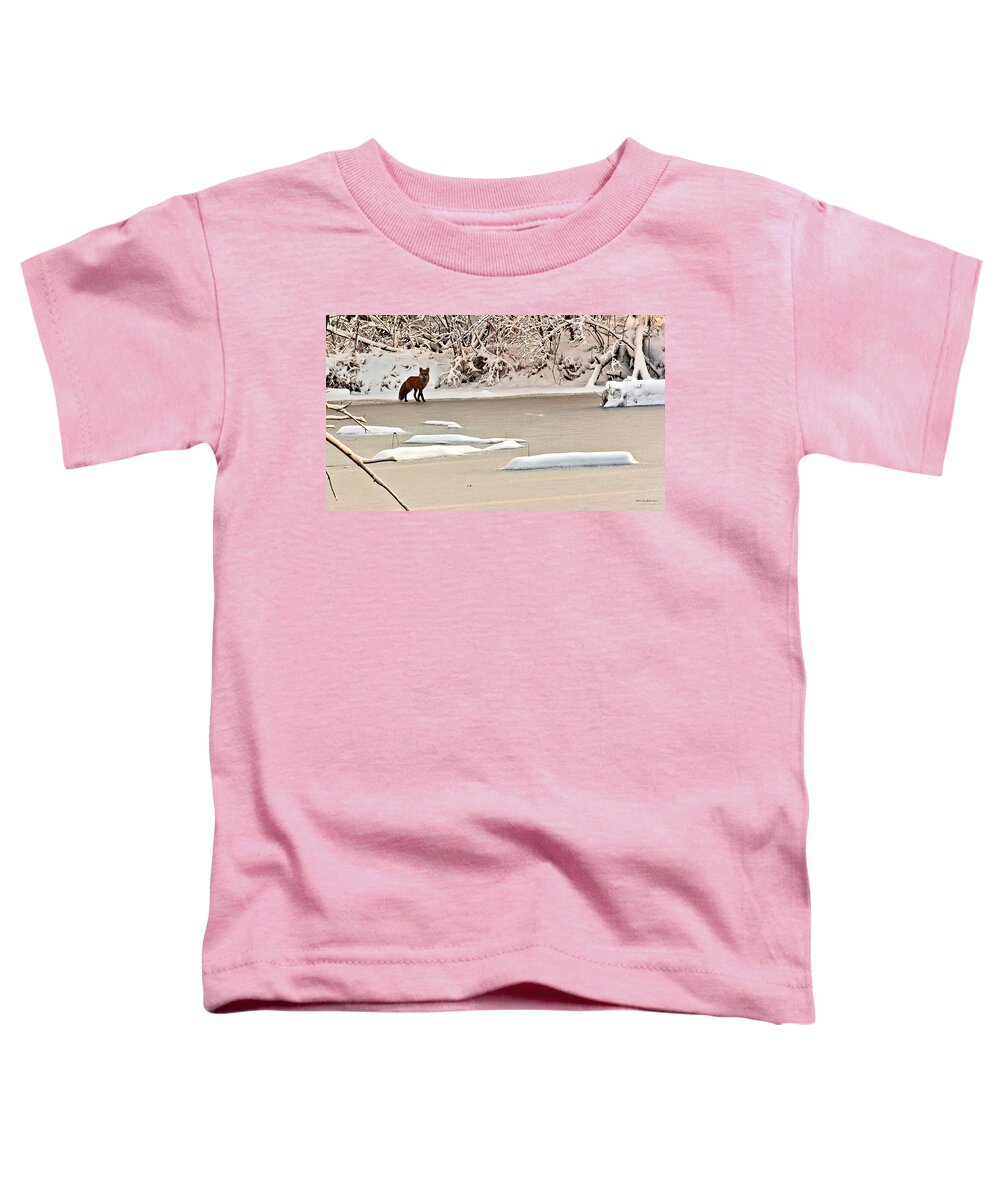 Fox Toddler T-Shirt featuring the photograph Winter Fox by Ed Peterson