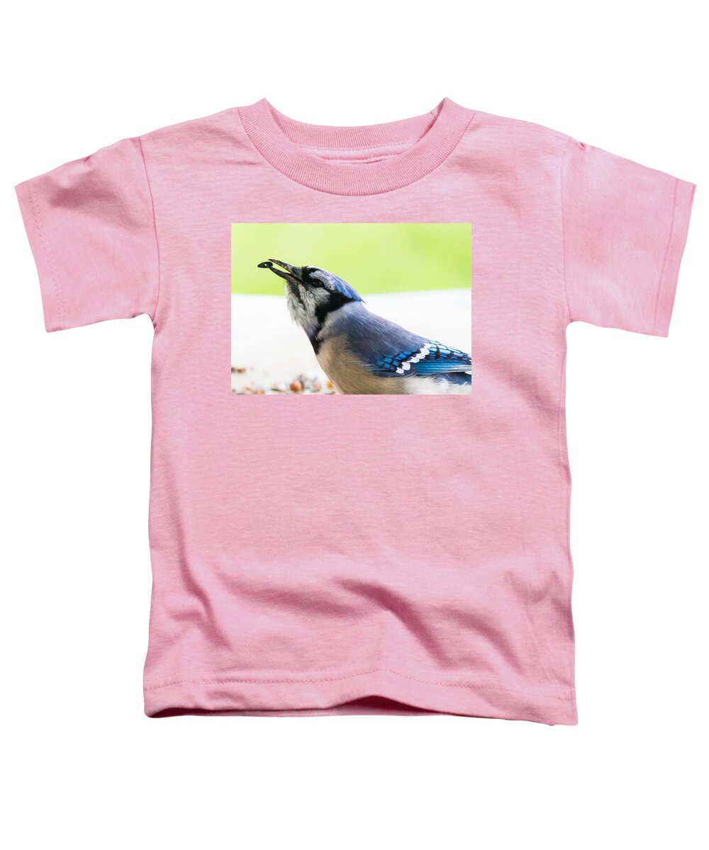 Blue Jay Toddler T-Shirt featuring the photograph Blue Jay  by Holden The Moment