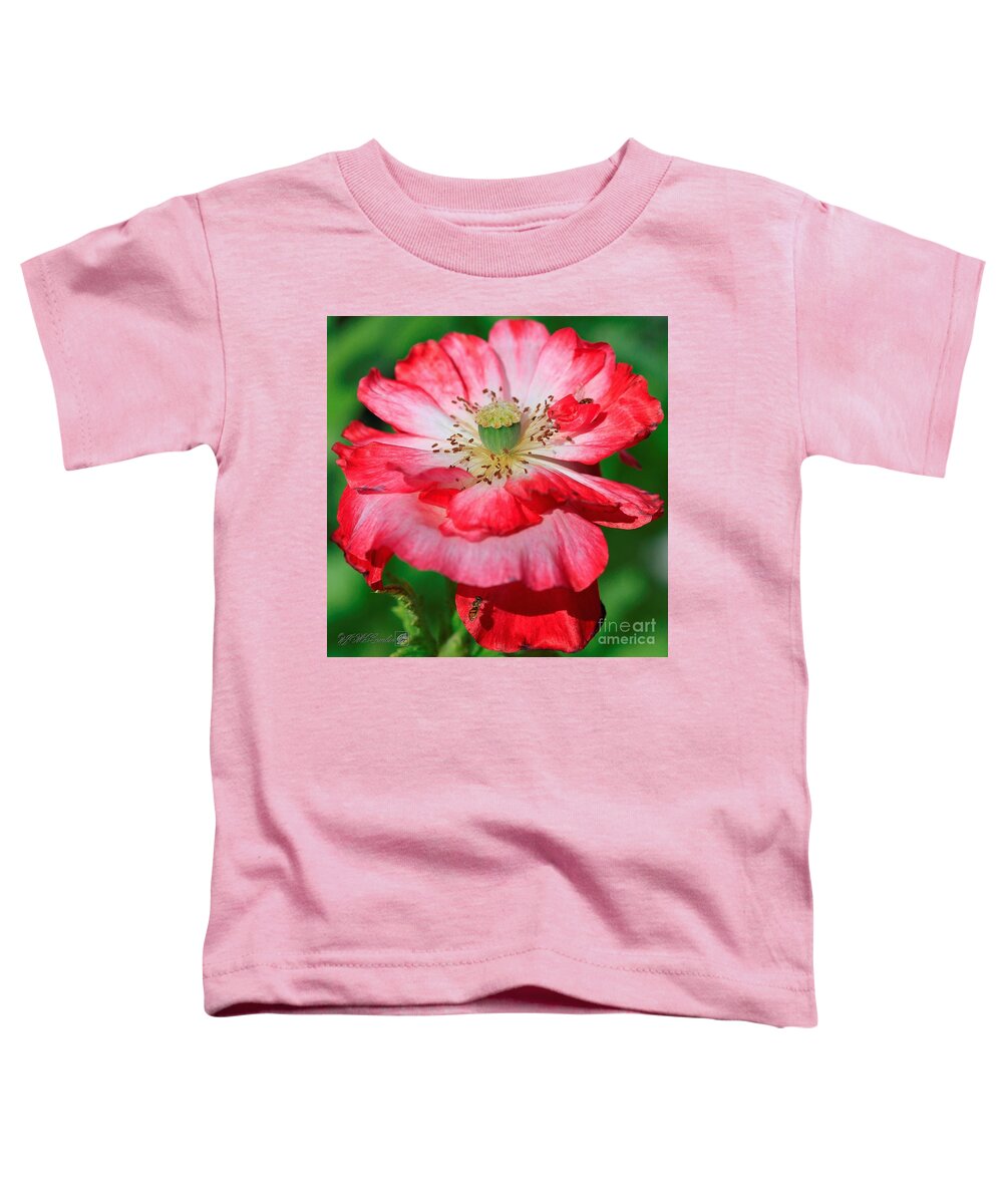 Mccombie Toddler T-Shirt featuring the photograph Double Red and White Poppy from the Garden Gnome Mix #5 by J McCombie