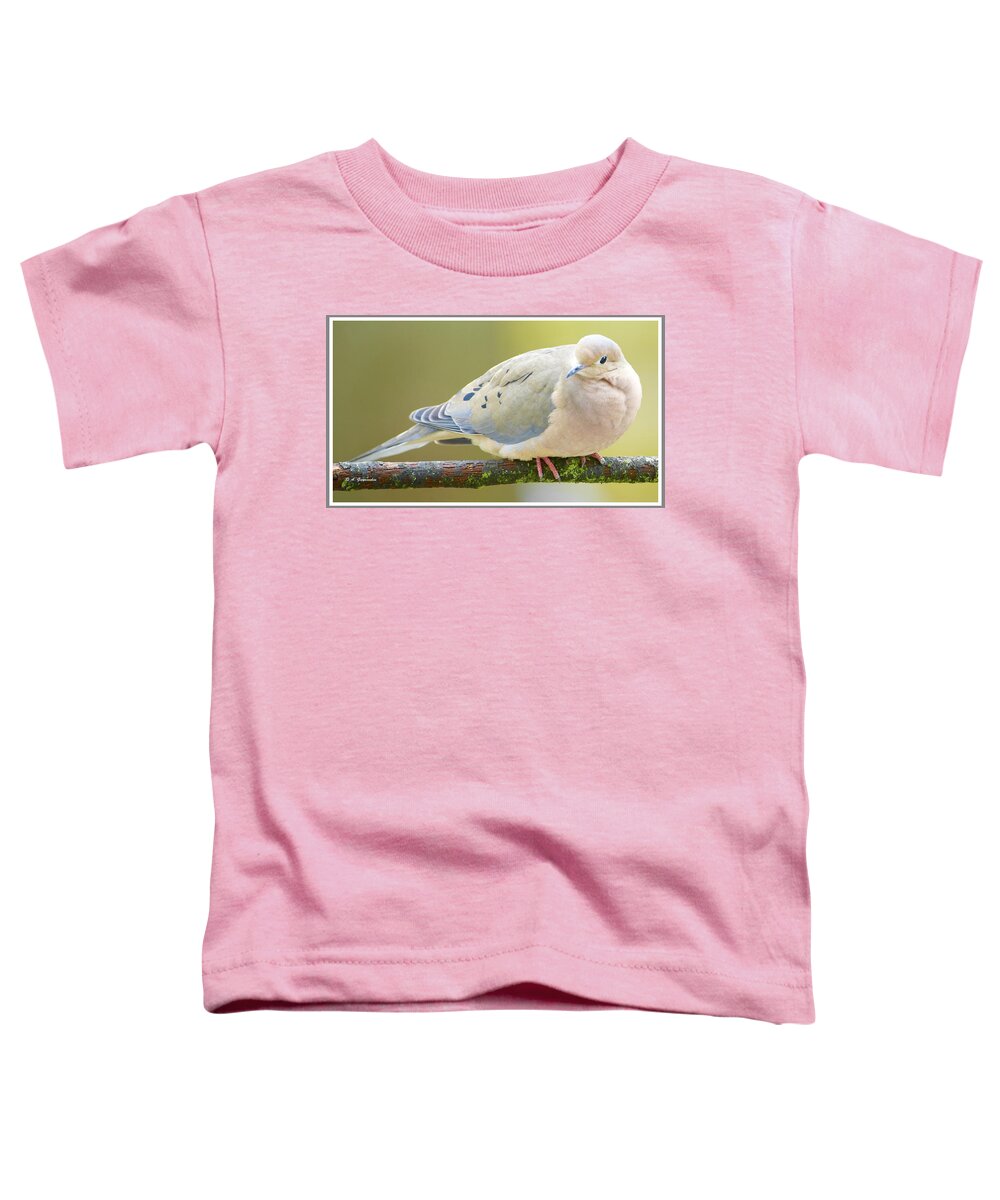 Taxonmy Toddler T-Shirt featuring the photograph Mourning Dove on Tree Branch #1 by A Macarthur Gurmankin