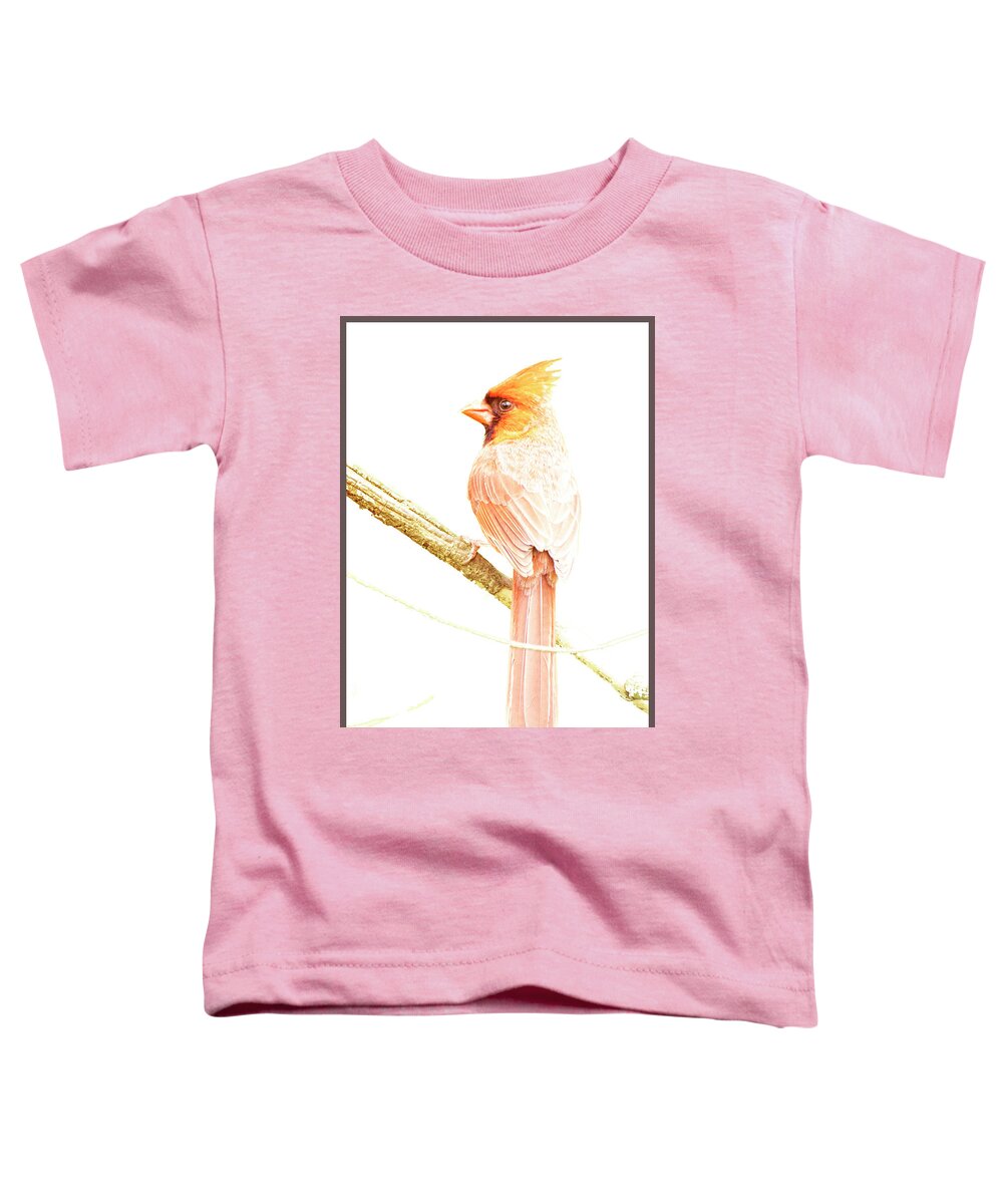 Northern Cardinal Toddler T-Shirt featuring the photograph Northern Cardinal, Male in Winter #1 by A Macarthur Gurmankin