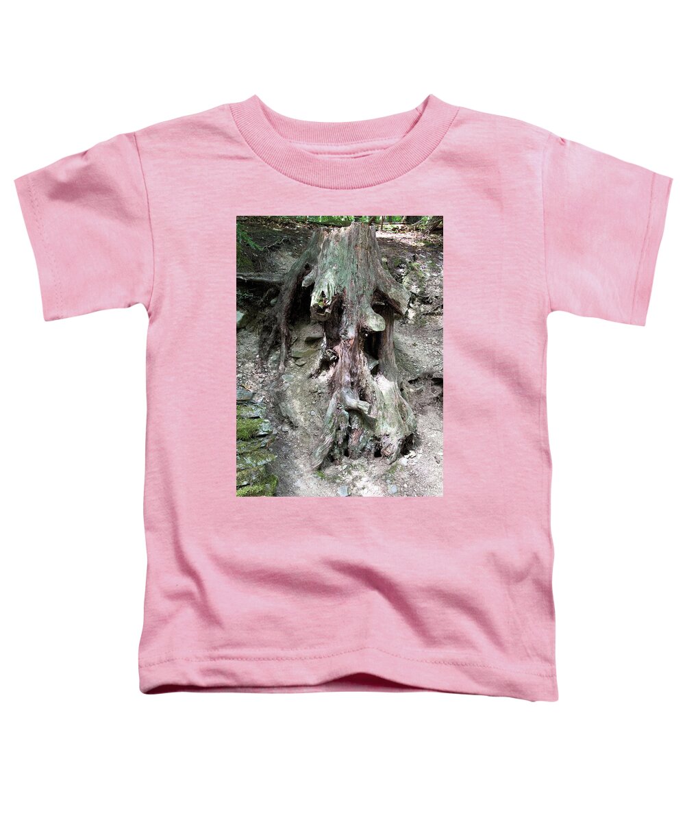Watkins Glen Toddler T-Shirt featuring the photograph Unusual tree root #1 by Susan Jensen