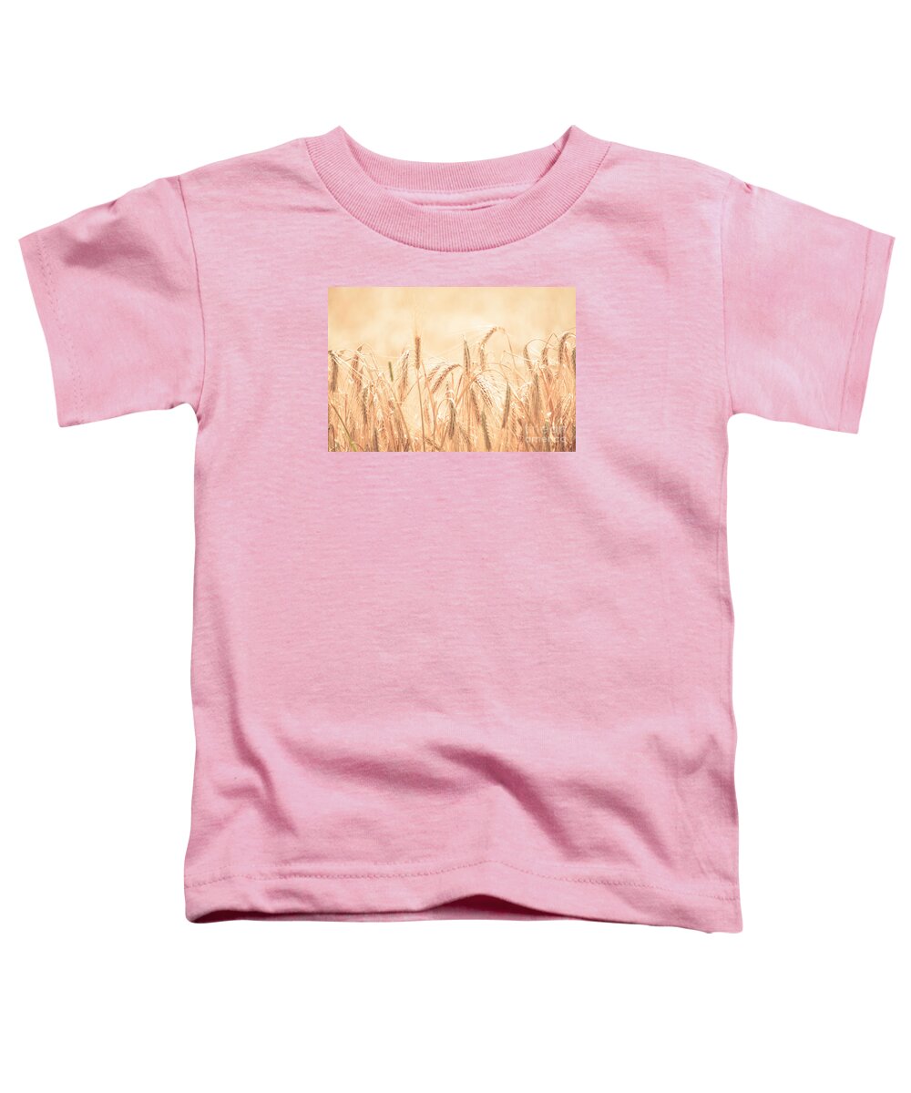 Cheryl Baxter Photography Toddler T-Shirt featuring the photograph Wheat Field #1 by Cheryl Baxter