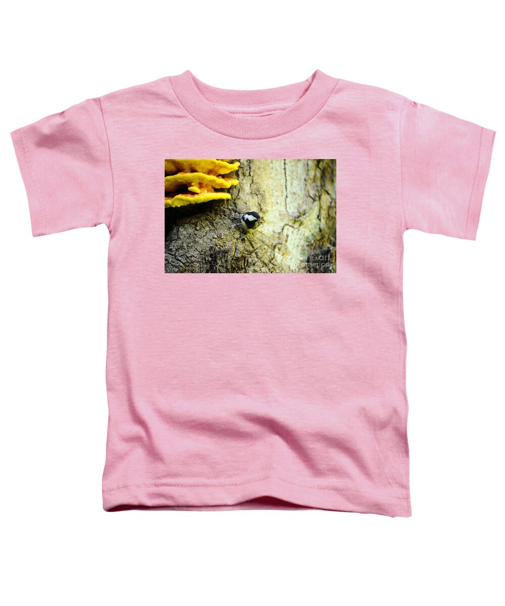 Coal Tit Toddler T-Shirt featuring the photograph Coal Tit #2 by David & Micha Sheldon