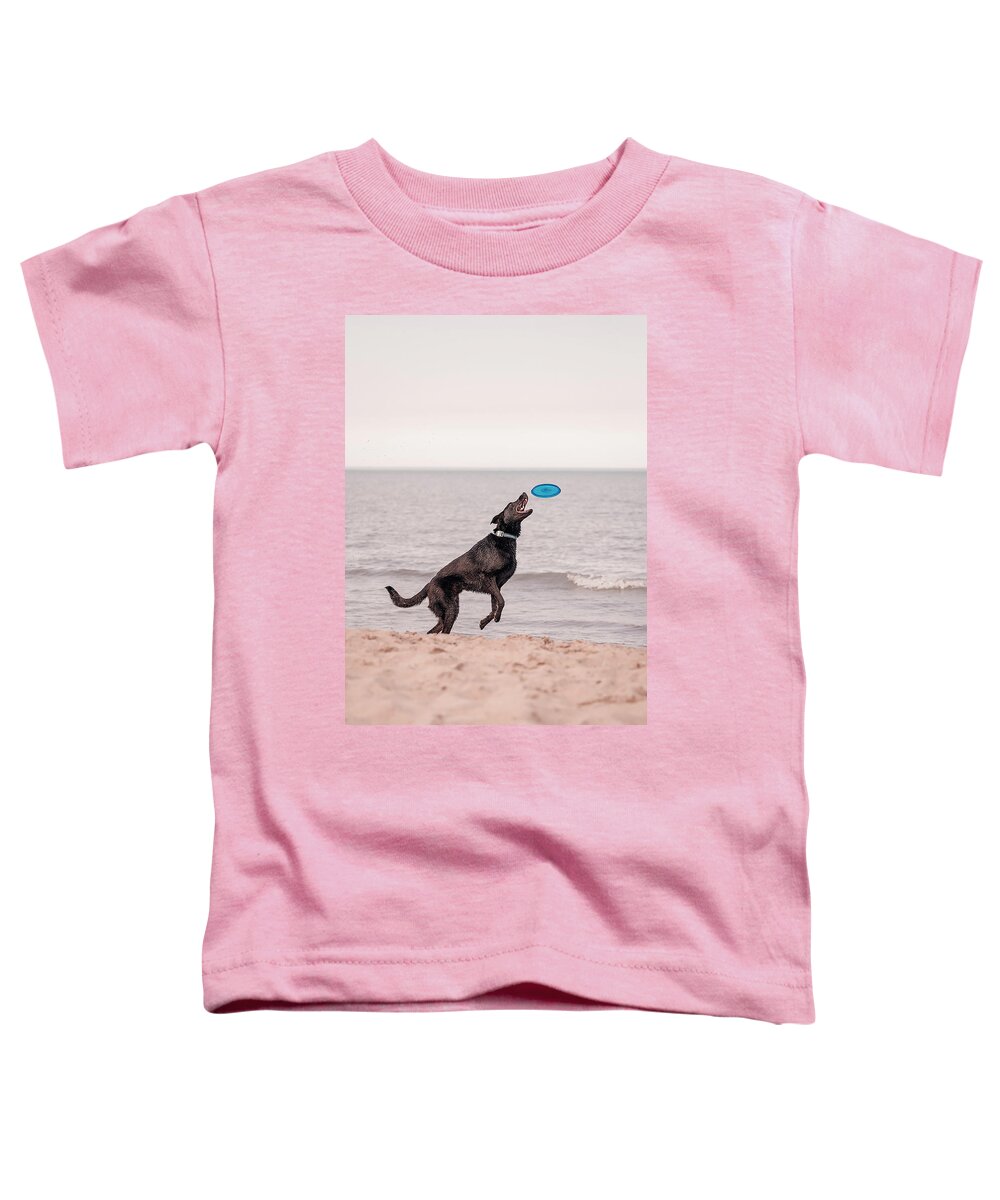 Action Toddler T-Shirt featuring the photograph Dog with frisbee #2 by Peter Lakomy