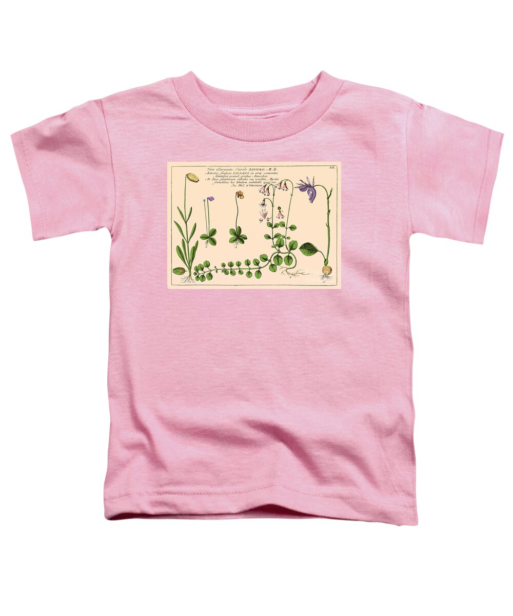 Historic Toddler T-Shirt featuring the photograph Linnaea Borealis, Linnaeuss Favorite #1 by Science Source