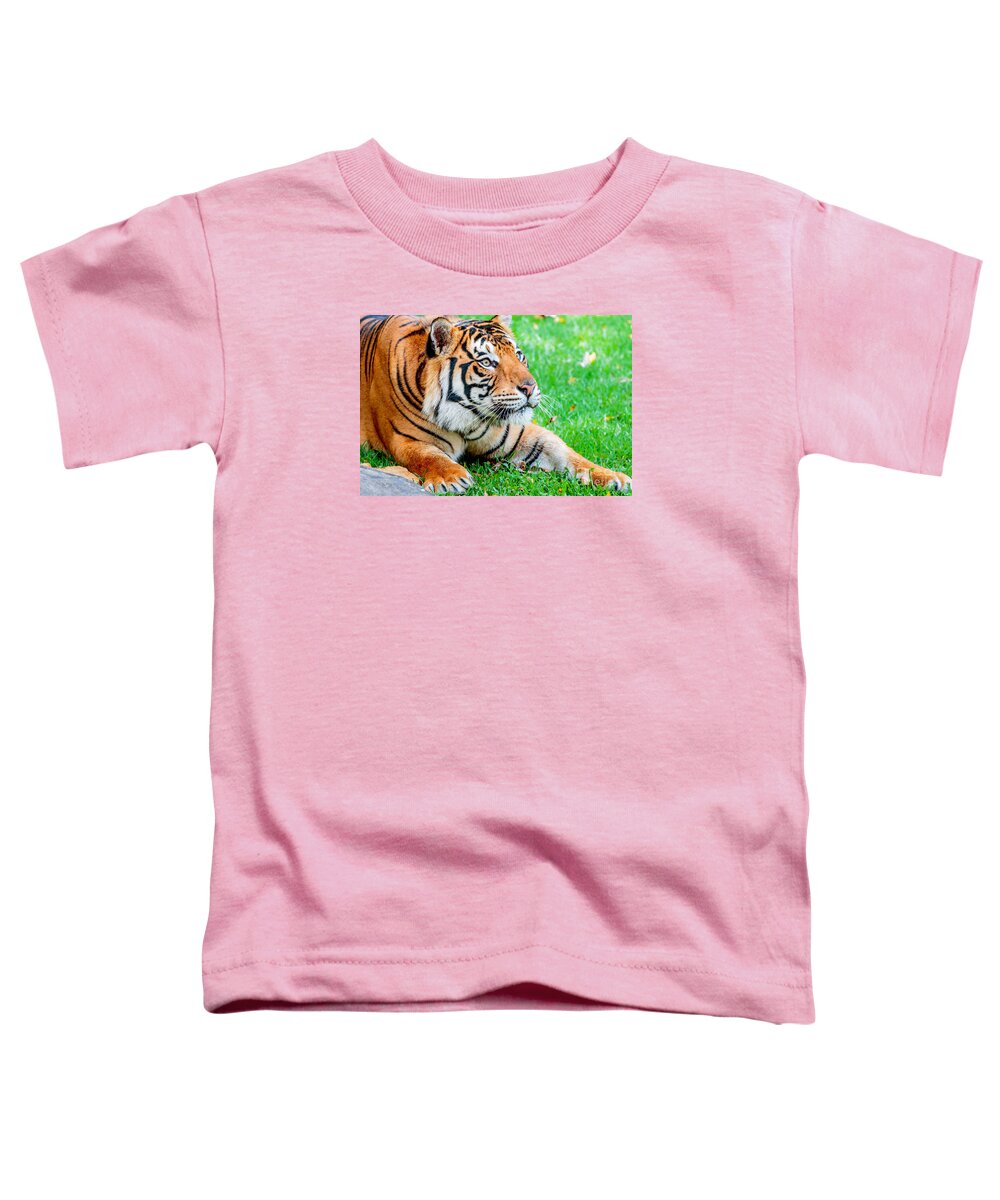 Animal Toddler T-Shirt featuring the photograph Pre-pounce Tiger #2 by Ray Shiu