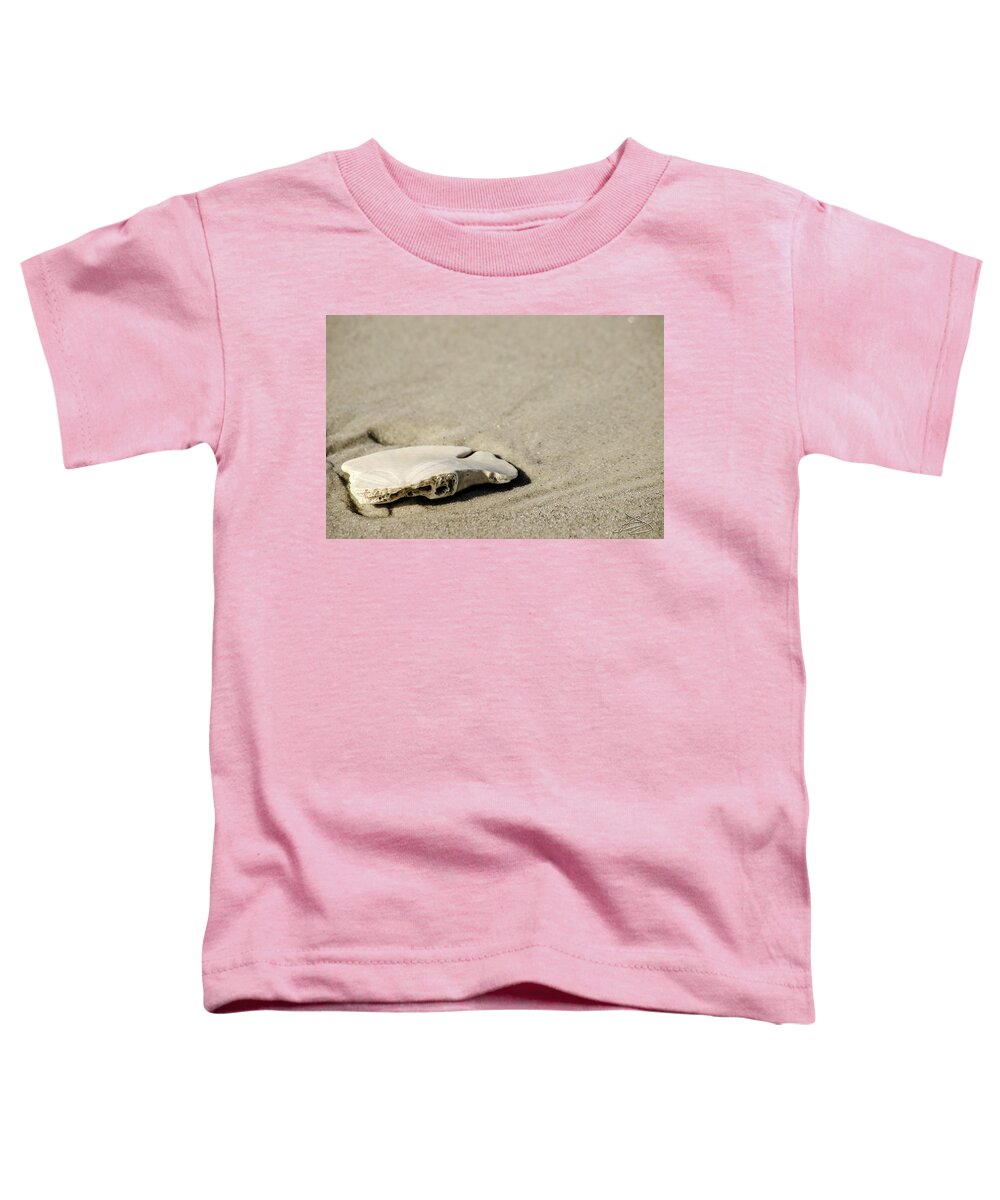 Art Toddler T-Shirt featuring the photograph 75 Cents by Bradley Dever
