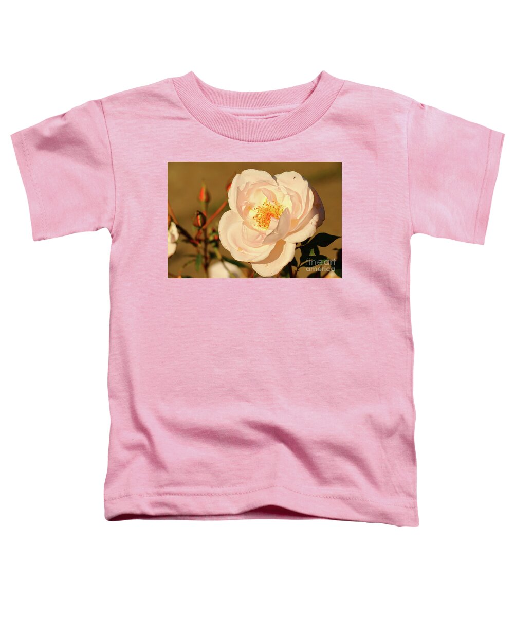 Salmon Colored Rose Toddler T-Shirt featuring the photograph A Glorious View by Christiane Schulze Art And Photography