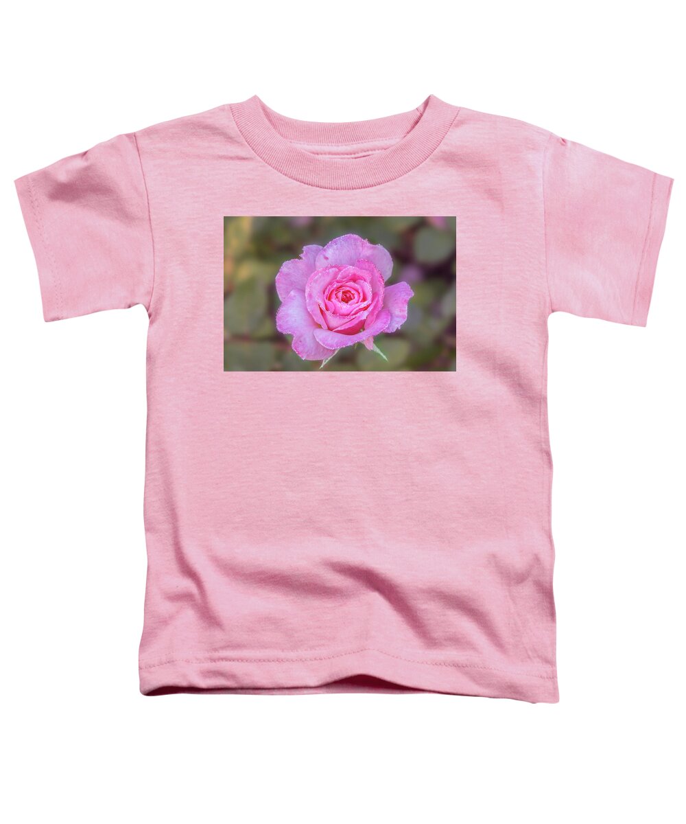 Rose Toddler T-Shirt featuring the photograph A pink rose kissed by morning dew. by Usha Peddamatham