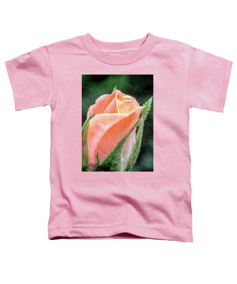 Flower Toddler T-Shirt featuring the photograph A Rose is a Rose by Winnie Chrzanowski