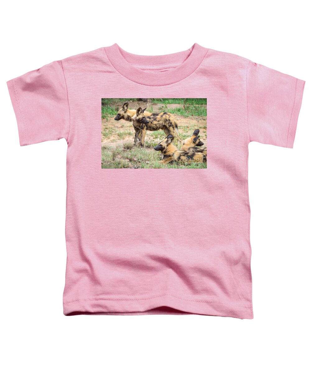 African Wild Dogs Toddler T-Shirt featuring the photograph African Wild Dogs by Juergen Klust