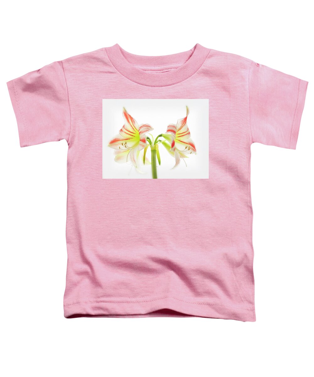 Amaryllis Toddler T-Shirt featuring the photograph Amorice by Usha Peddamatham