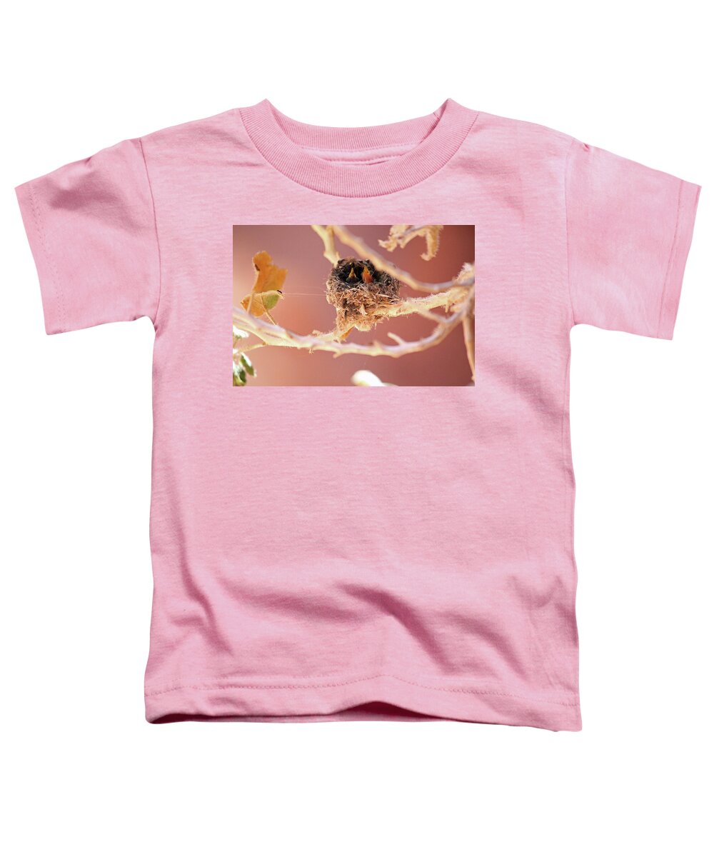 Hummingbird Toddler T-Shirt featuring the photograph Baby HummingBirds by Brook Burling