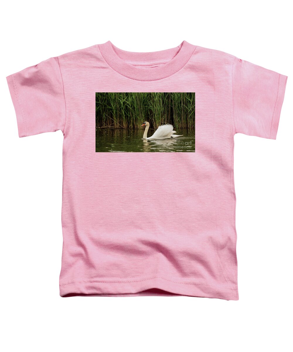 Mute Swan Toddler T-Shirt featuring the photograph Beautiful Mute Swan Swimming by Sam Rino