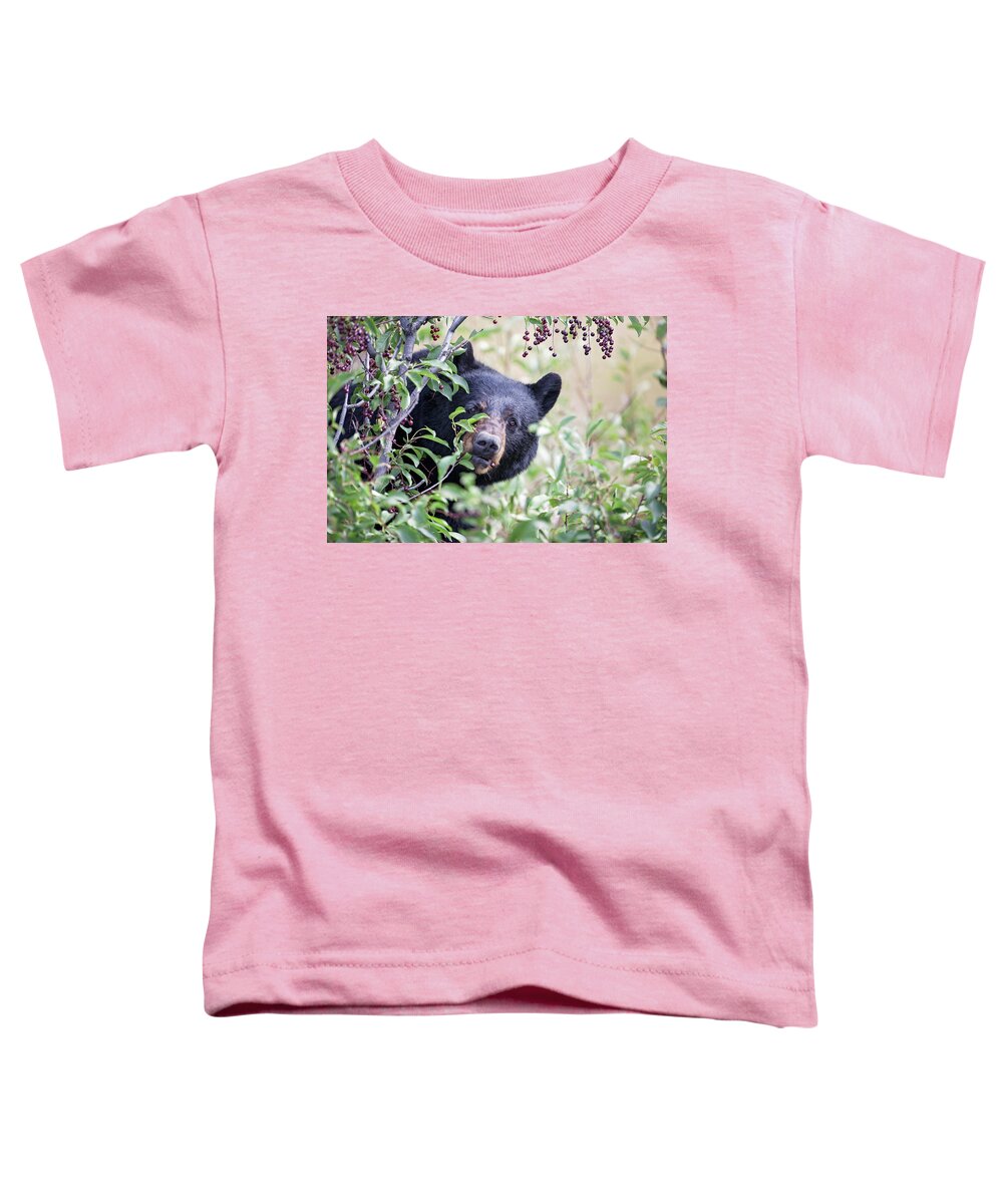 Black Bear Toddler T-Shirt featuring the photograph Berry Picking by Eilish Palmer