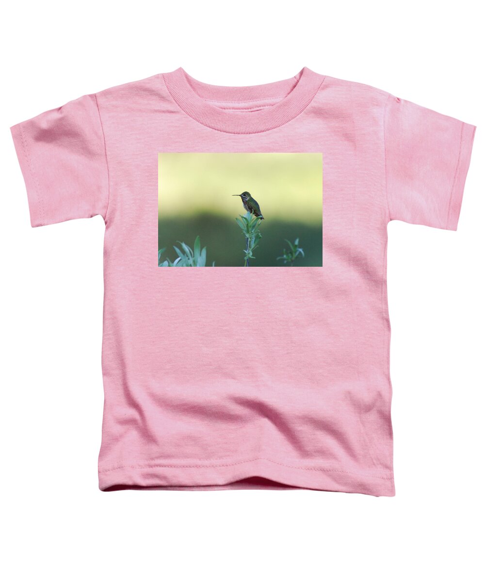 Hummingbird Toddler T-Shirt featuring the photograph Big World by Donna Blackhall