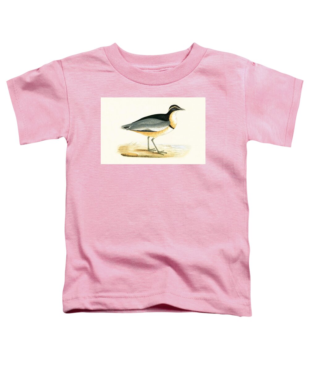 Bird Toddler T-Shirt featuring the painting Black Headed Plover by English School
