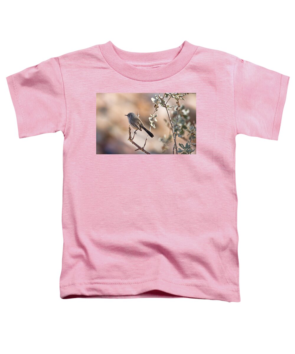 Arizona Toddler T-Shirt featuring the photograph Black-Tailed Gnatcatcher by Dan McManus