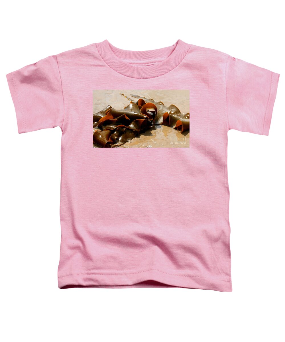 Tantalising Tasmania Series By Lexa Harpell Toddler T-Shirt featuring the photograph Bull Kelp by Lexa Harpell