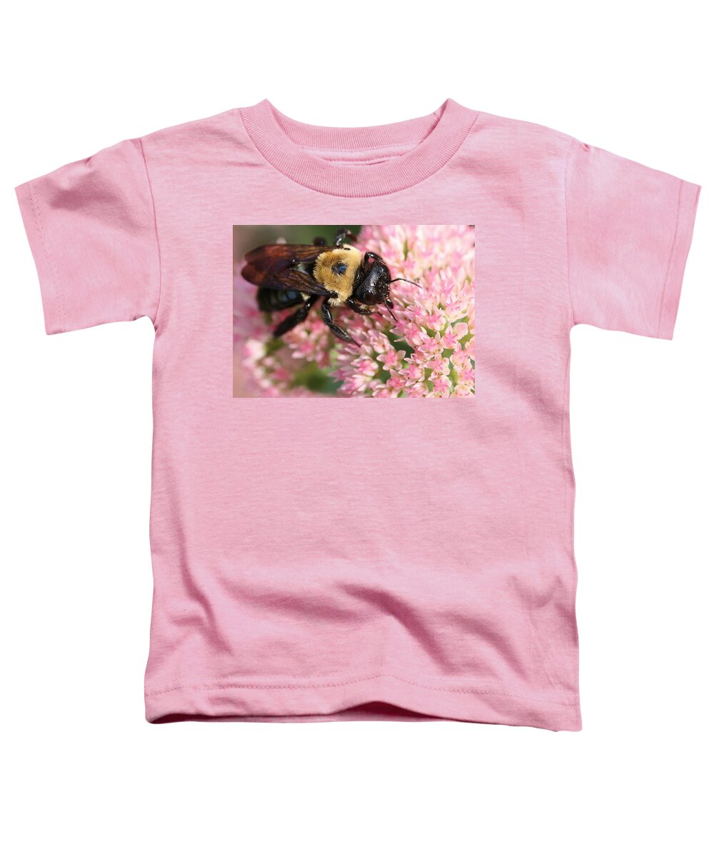 Bee Toddler T-Shirt featuring the photograph Bumble Bee Macro by Angela Rath