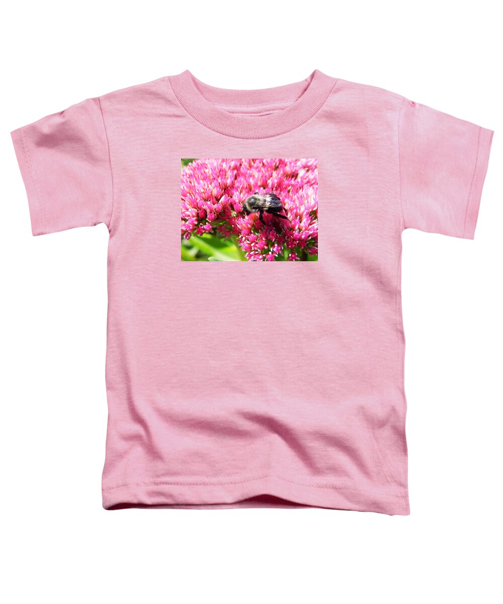 Bee Toddler T-Shirt featuring the photograph Buzz by Hannah Mclennan