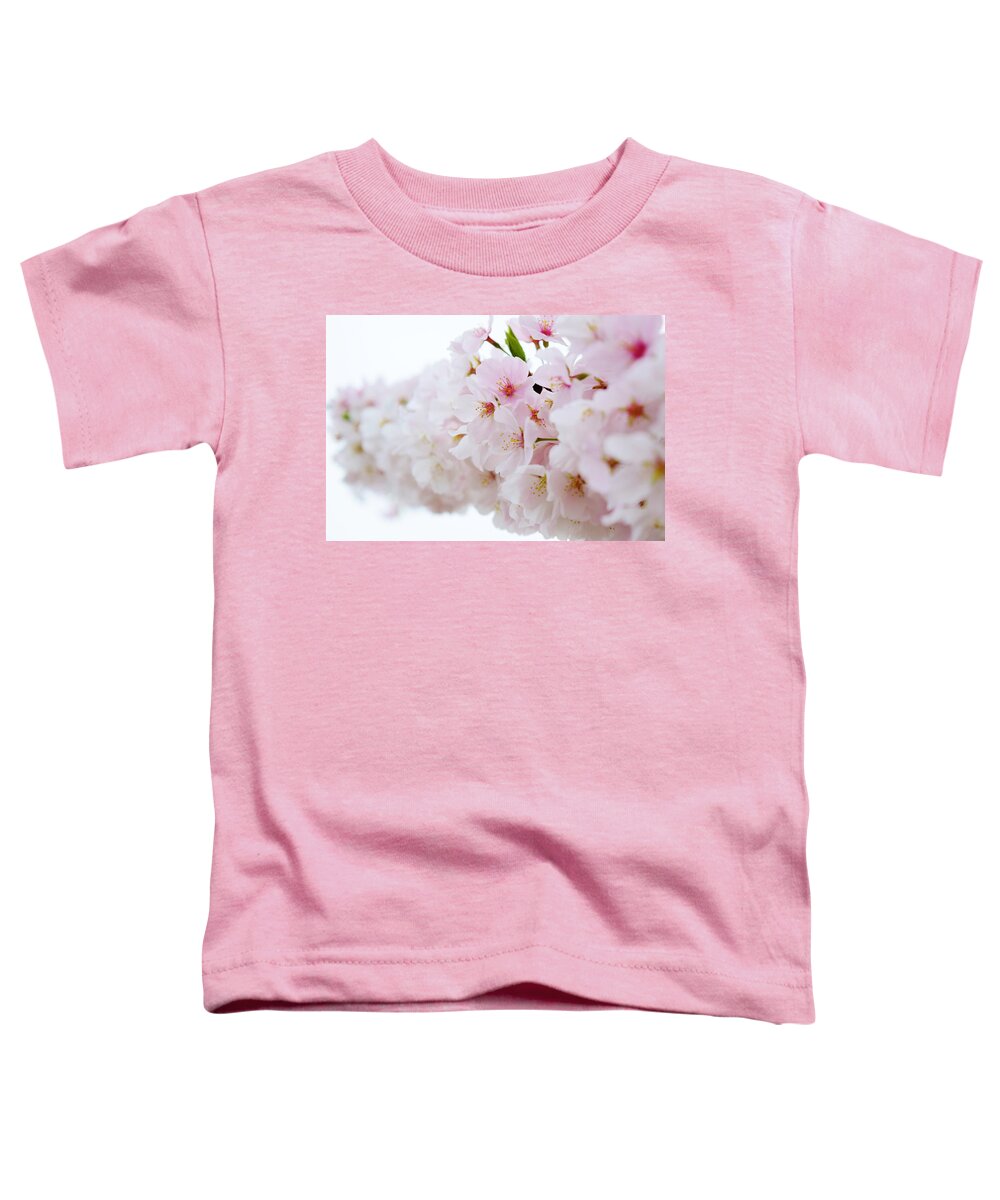 Cherry Blossom Toddler T-Shirt featuring the photograph Cherry Blossom Focus by Nicole Lloyd