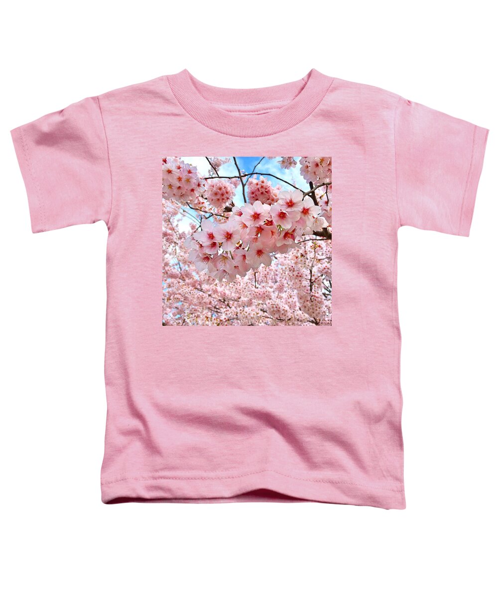  Toddler T-Shirt featuring the photograph cherry blossom in Tokyo by Kio Yoshida