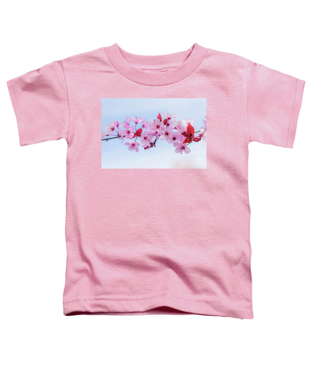 Michael Wheatley Toddler T-Shirt featuring the photograph Pink blossom by Michael Wheatley