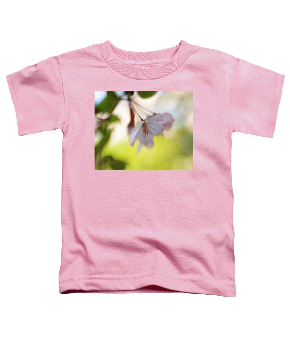 Flower Toddler T-Shirt featuring the photograph Cherry Blossom Time by Pamela Taylor