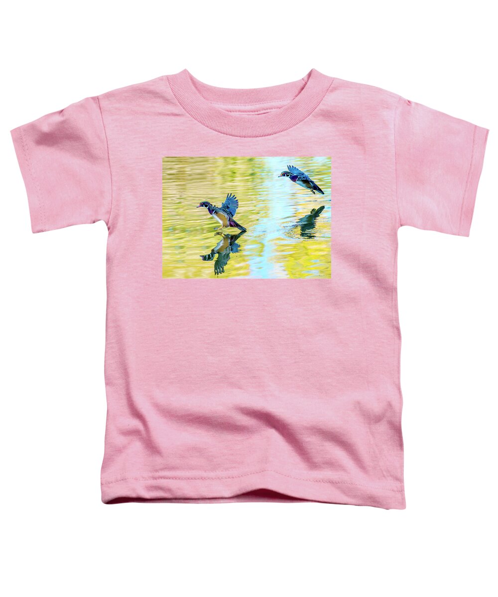 Wood Duck Toddler T-Shirt featuring the photograph Clear the Runway by Judi Dressler