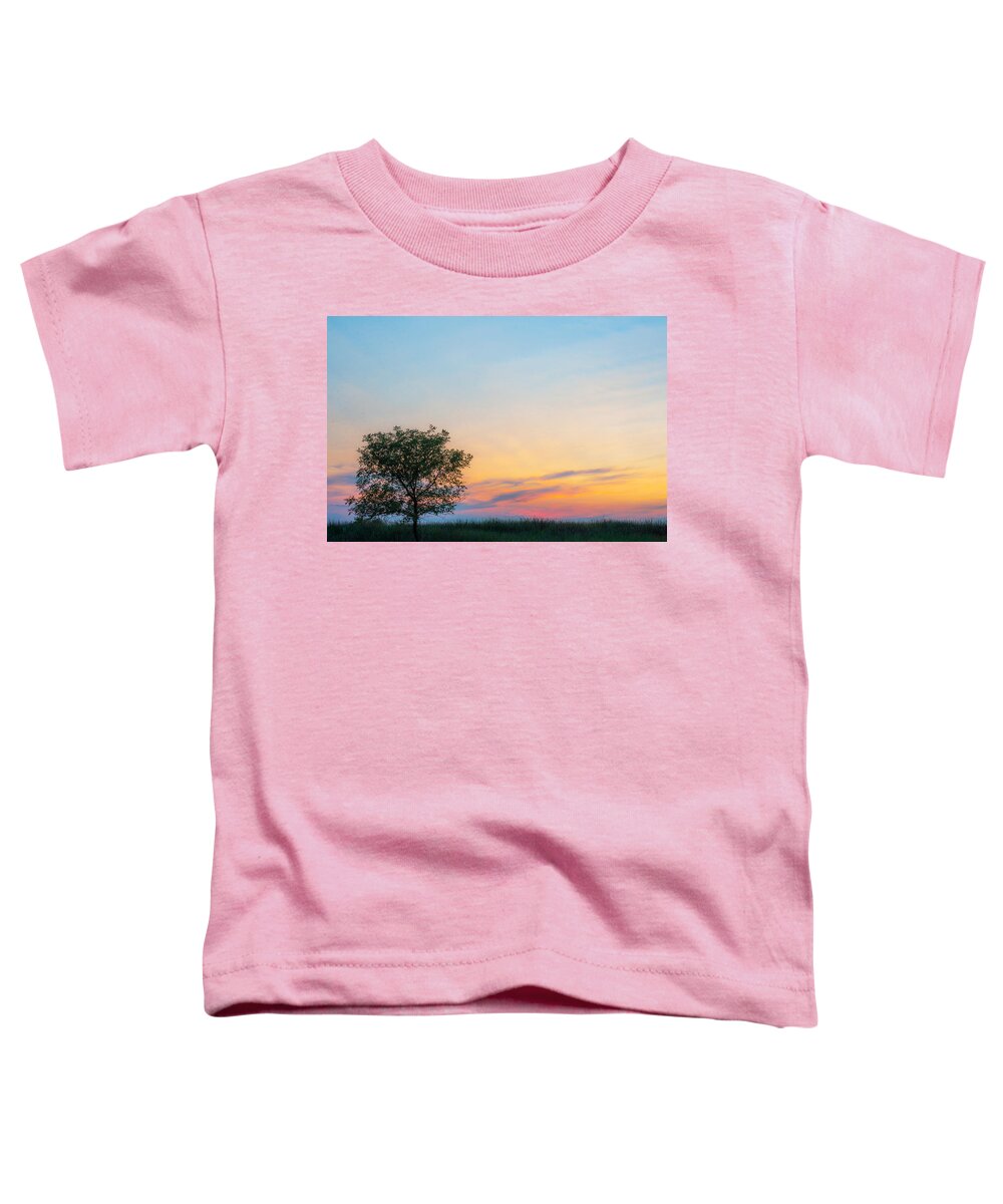 Cleveland Toddler T-Shirt featuring the photograph Colors by Stewart Helberg