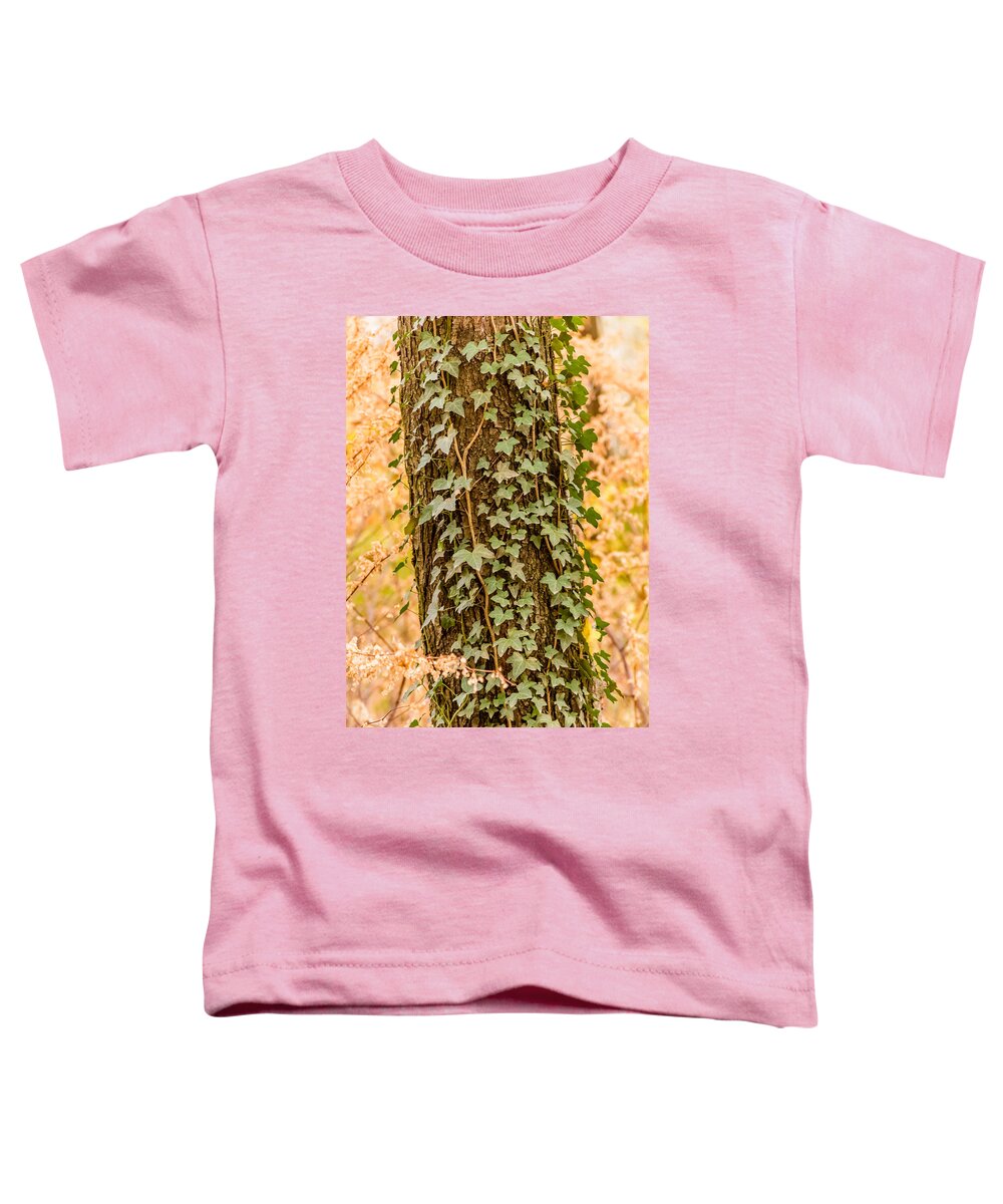 Forest Toddler T-Shirt featuring the photograph Creepers on tree trunk by SAURAVphoto Online Store